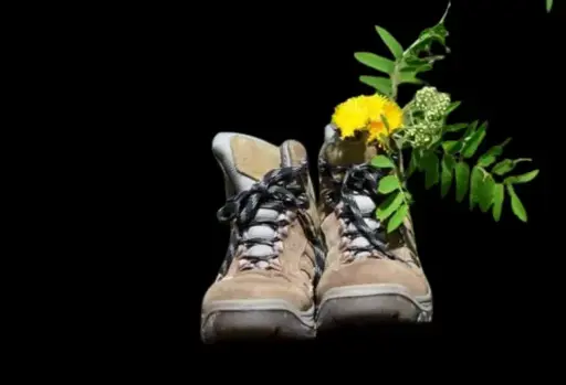 Atelier de Partage : Marche